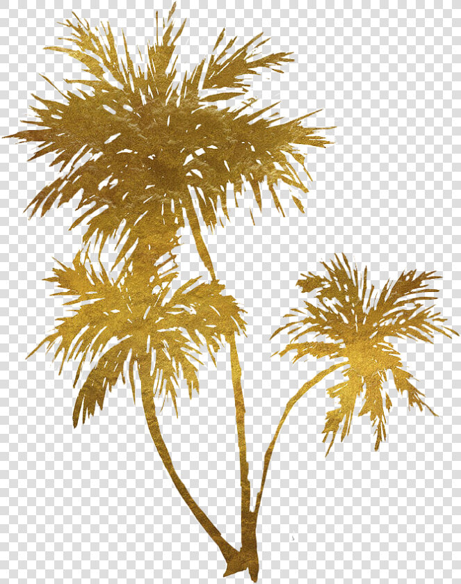 Gold Transparent Palm Tree   Gold Palm Trees Png  Png DownloadTransparent PNG