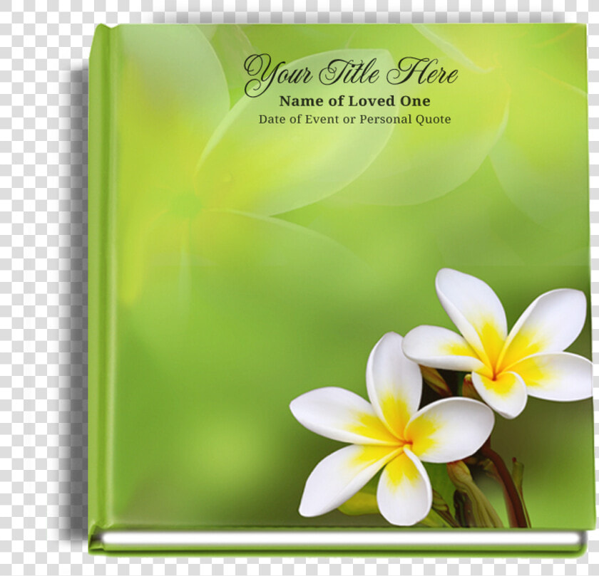 Plumeria Funeral Guest Book  HD Png DownloadTransparent PNG