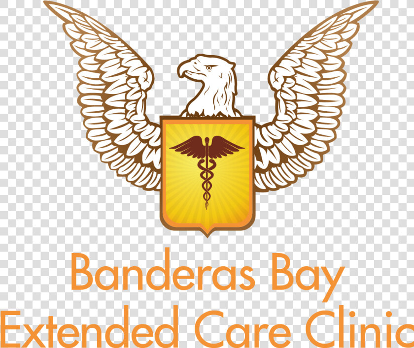 Banderas Bay Extended Care Clinic  sayulita  Nayarit   E Pluribus Unum Tattoo Eagle  HD Png DownloadTransparent PNG