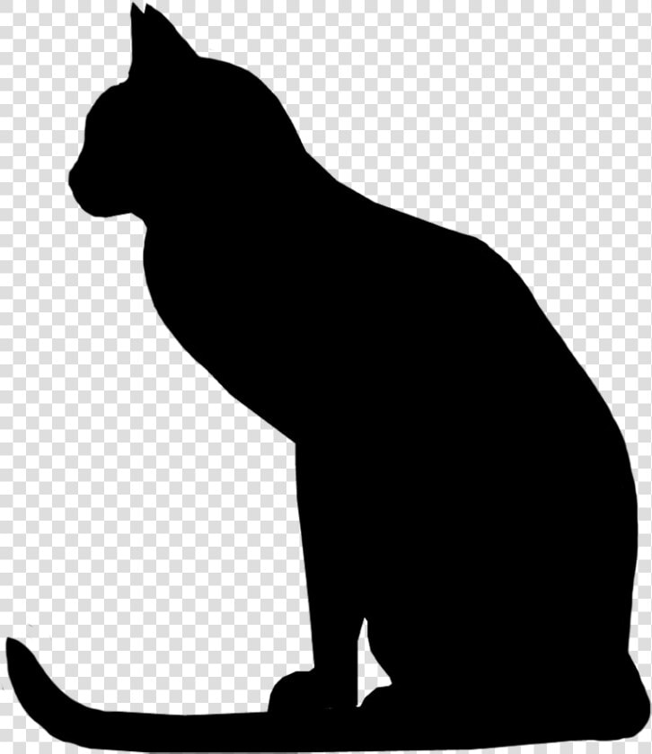 Attentive Cat Silhouette  Cat With Long Tail Silhouette   Raccoon  HD Png DownloadTransparent PNG