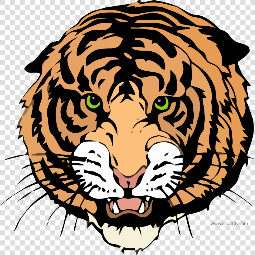 Other Tigger Face Clipart Png Image Download   Trenton High School Tiger  Transparent PngTransparent PNG