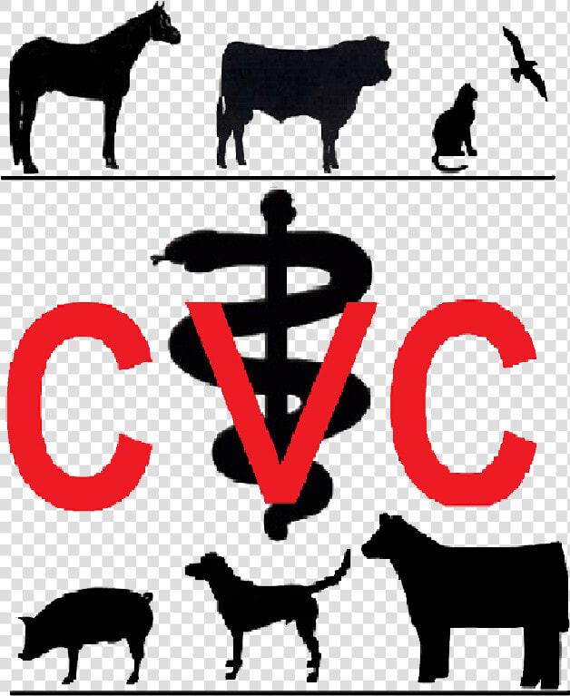 Chachere Veterinary Clinic   Cattle  HD Png DownloadTransparent PNG