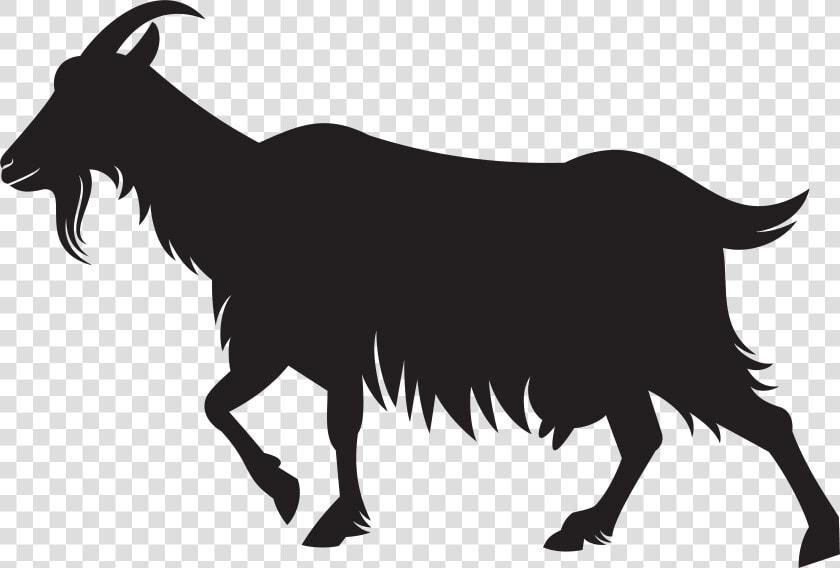 Goat Sheep Portable Network Graphics Image Black And   Silhouette Goat Vector Png  Transparent PngTransparent PNG