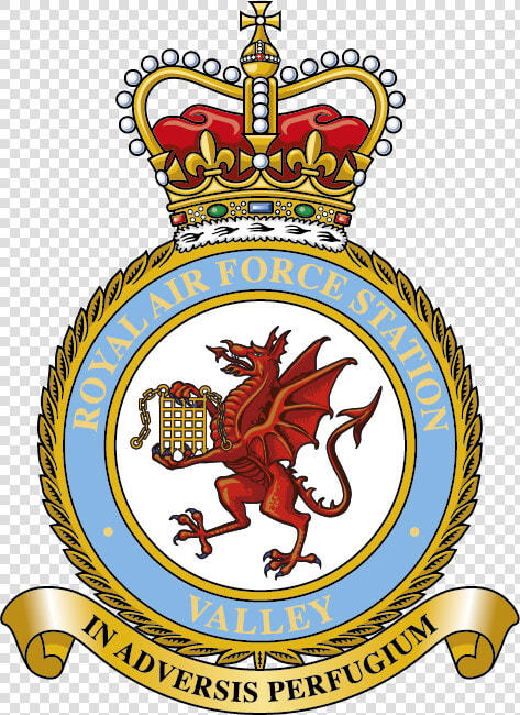 Badge For Raf Valley   No 100 Squadron Raf  HD Png DownloadTransparent PNG