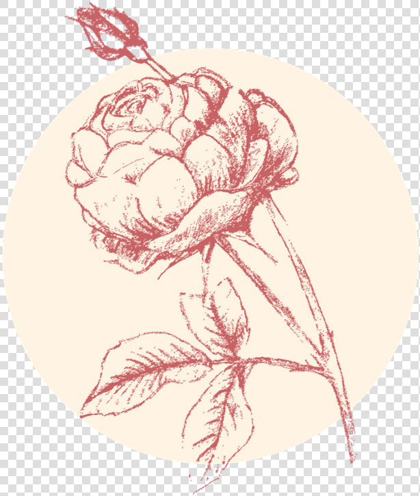 Untitled Design 2   Illustration  HD Png DownloadTransparent PNG