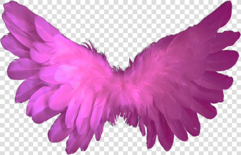  beautiful  pink  wings  flying  fairy  halloween  butterfly  HD Png DownloadTransparent PNG