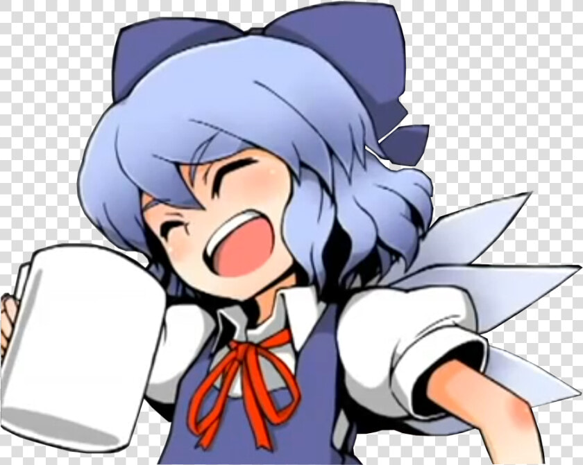 I Approve Of The Touhou  But Disapprove For The Lack  HD Png DownloadTransparent PNG