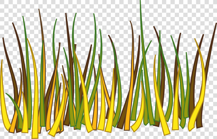 Transparent Vegetation Clipart   Big Grass Drawing  HD Png DownloadTransparent PNG