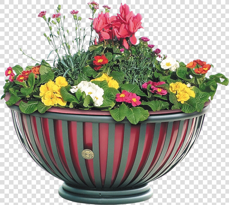 Metal Planter With Tub To Furnish Public Spaces  Tulip   Flower Tree With Tub  HD Png DownloadTransparent PNG