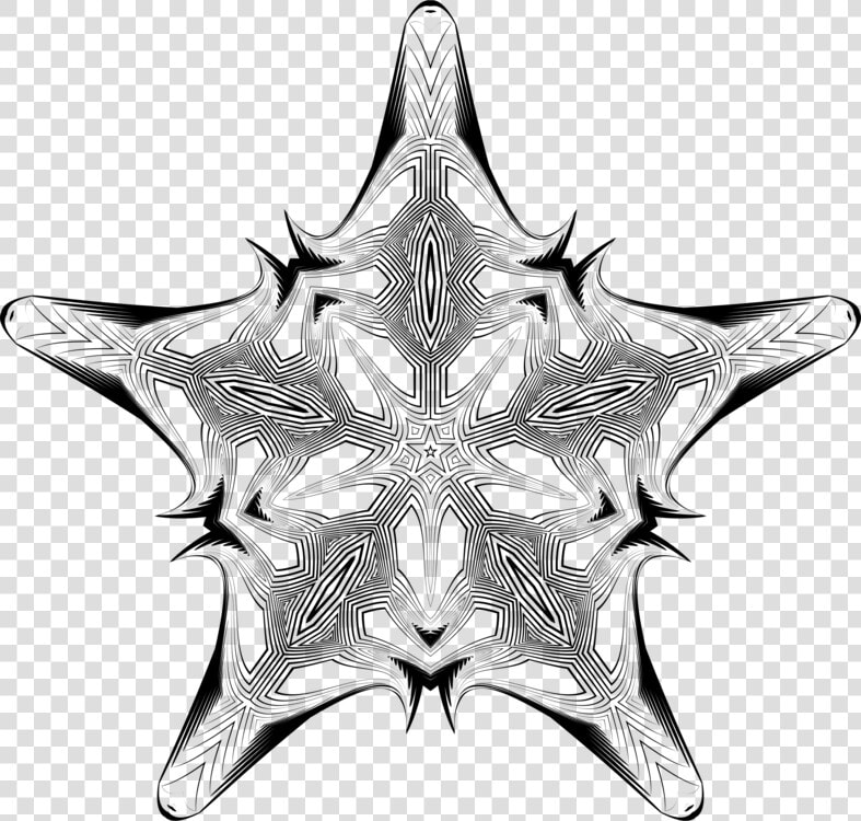 Visual Arts christmas Ornament starfish   Grayscale  HD Png DownloadTransparent PNG