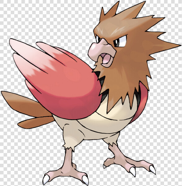 Pokemon Spearow  HD Png DownloadTransparent PNG