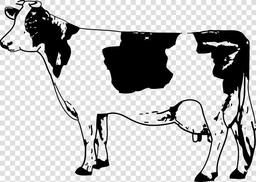 41 Cow Png Images With Transparent Backgrounds   Cow Clip Art Black And White  Png DownloadTransparent PNG