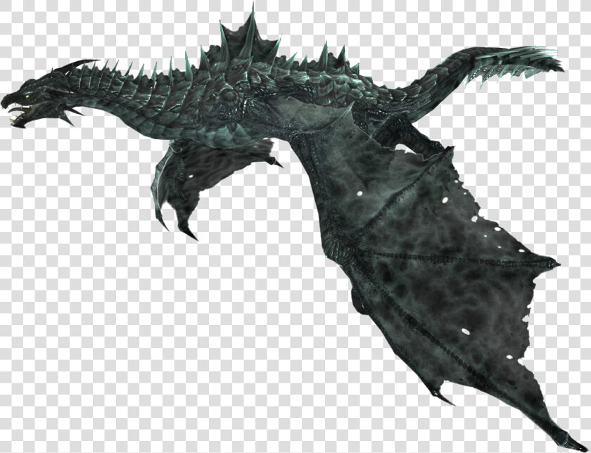 The Elder Scrolls V   Elder Scrolls Dragon Png  Transparent PngTransparent PNG