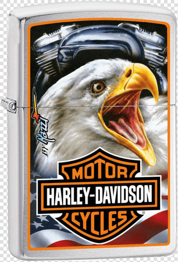 Harley Davidson Mazzi Eagle  HD Png DownloadTransparent PNG