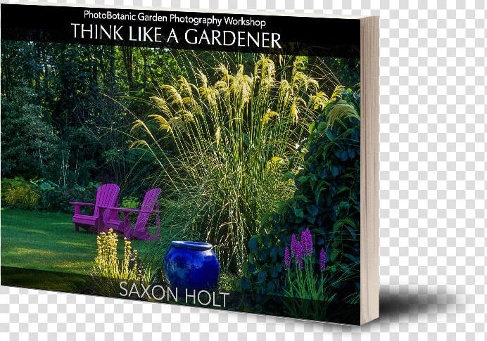 Saxon Holt Gardens  HD Png DownloadTransparent PNG