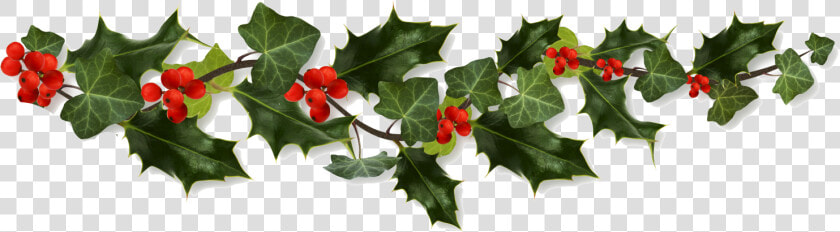 Holly Border Png   Transparent Christmas Holly Png  Png DownloadTransparent PNG