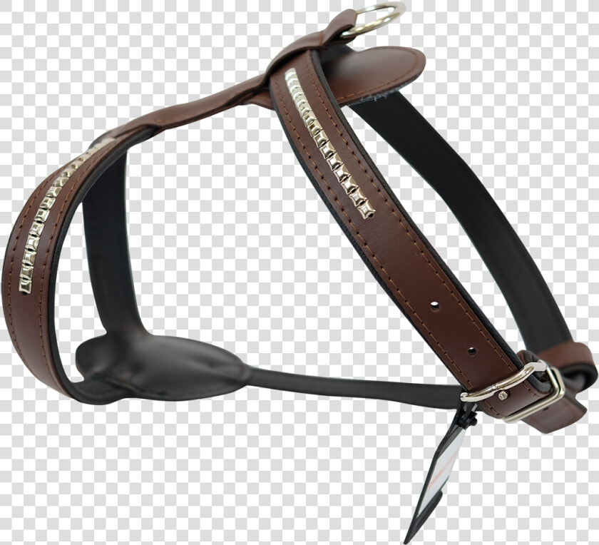 Horse tack   Horse Harness Png  Transparent PngTransparent PNG