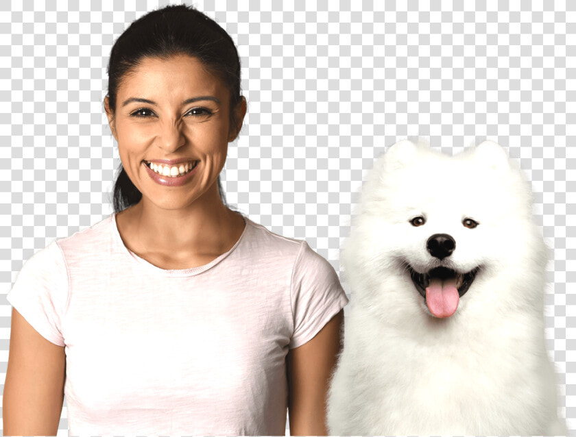 Book Trusted Dog Boarders   Facial Expression  HD Png DownloadTransparent PNG