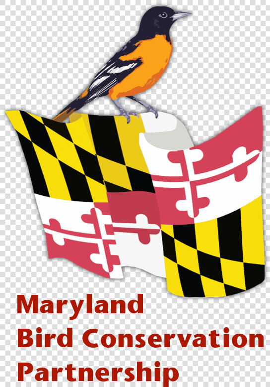 Mbcp Logo Words   Maryland State Flag  HD Png DownloadTransparent PNG