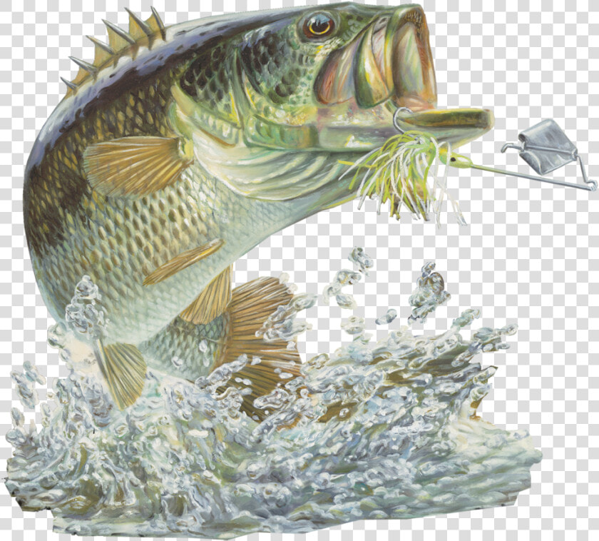 Bass Fishing Sticker Buzzbait   Fish Large Mouth Bass  HD Png DownloadTransparent PNG