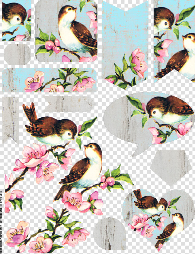 Free Vintage Bird Collage Sheet   Vintage Bird No Background  HD Png DownloadTransparent PNG