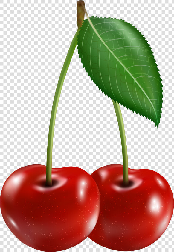 Cherry Clipart Image   Clipart Cherries  HD Png DownloadTransparent PNG