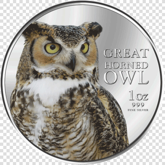 Niue 2013 2  Great Horned Owl Birds Of Prey Proof Silver   Bird Of Prey  HD Png DownloadTransparent PNG