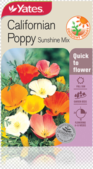 Californian Poppy Sunshine Mix   Plants For Cottage Garden Nz  HD Png DownloadTransparent PNG