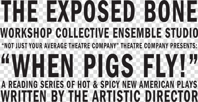 The Exposed Bone Workshop Collective Ensemble Studio   Poster  HD Png DownloadTransparent PNG