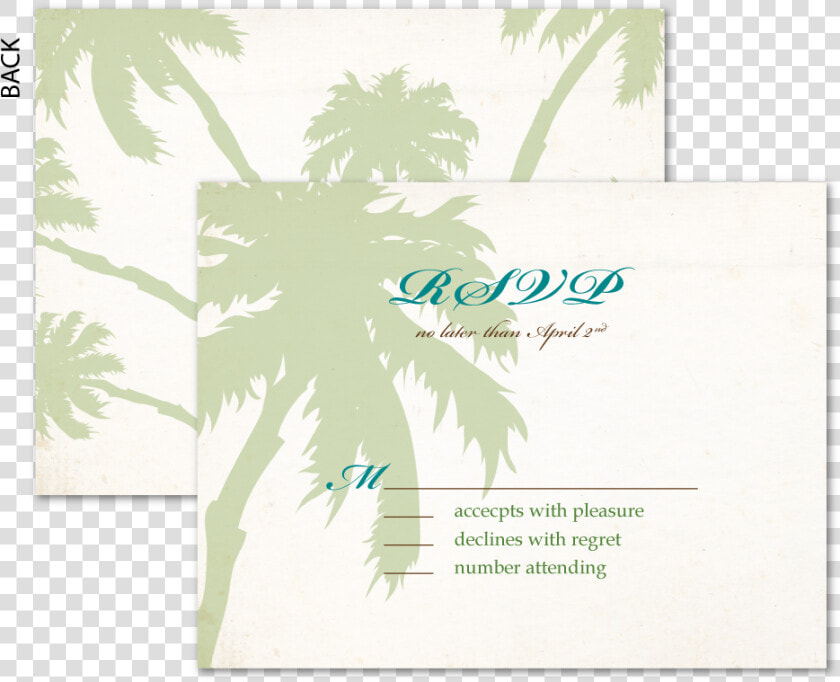 Retro Palms Boarding Pass Rsvp data caption   Palm Tree  HD Png DownloadTransparent PNG