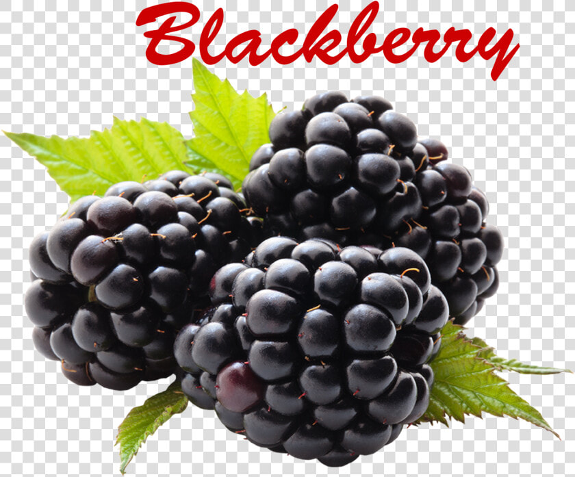 Blackberry Png Picture   Health Benefits For Blackberry  Transparent PngTransparent PNG