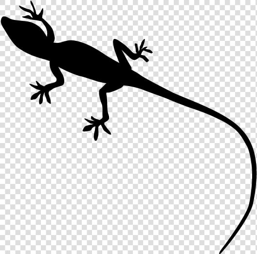 Gecko Lizard Reptile Silhouette   Lizard Silhouette No Background  HD Png DownloadTransparent PNG