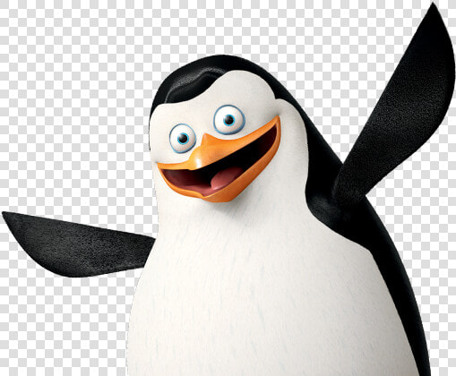 Free Download Of Madagascar Penguins Png Picture   Madagascar Characters In Real Life  Transparent PngTransparent PNG