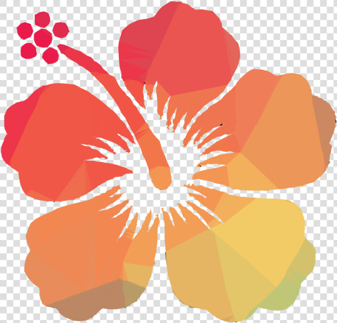 Transparent Hibiscus Clipart   Flor De Cayena Vector  HD Png DownloadTransparent PNG