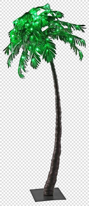 Palm Tree Transparent Background Png   Borassus Flabellifer  Png DownloadTransparent PNG