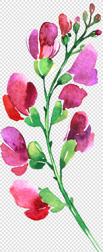 Canterbury Bells  HD Png DownloadTransparent PNG