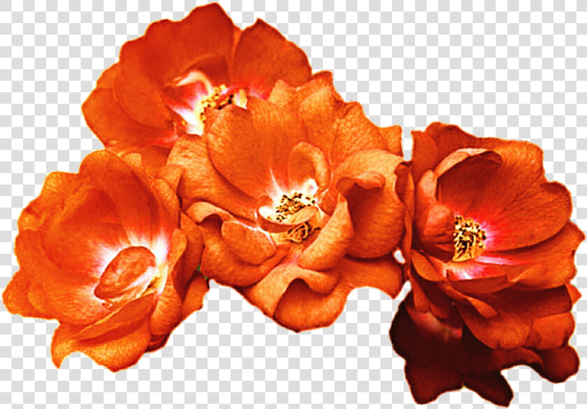 Rose Crown Clipart Vector Download Orange Rose Crown   Orange Flower Crown Png  Transparent PngTransparent PNG