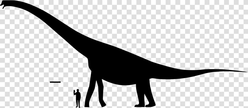 File   Brachiosaurus Size   Svg   Brachiosaurus Size 2019  HD Png DownloadTransparent PNG