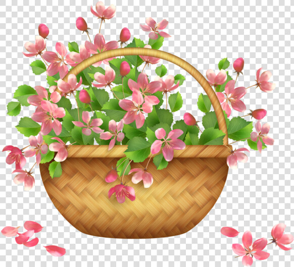 Transparent Flower Basket Hanging Basket Pink Plant   Illustration  HD Png DownloadTransparent PNG