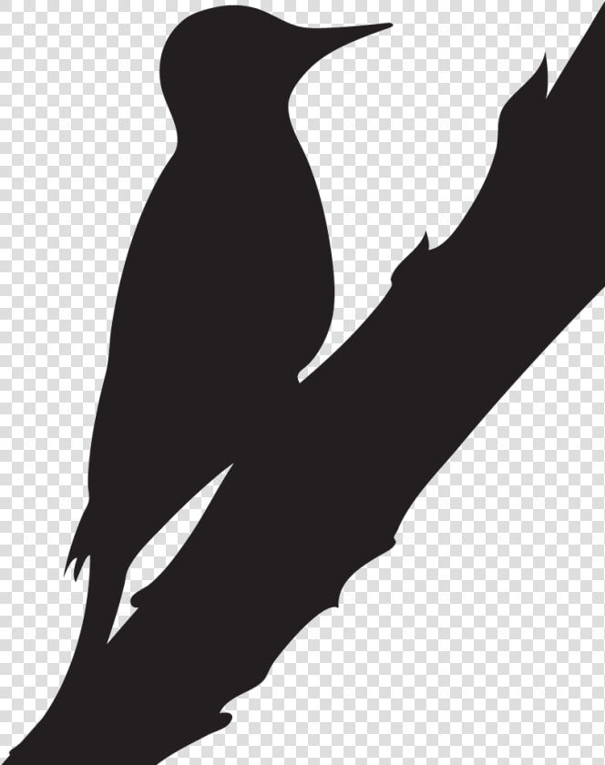 Black White And Red Woodpeckers  HD Png DownloadTransparent PNG