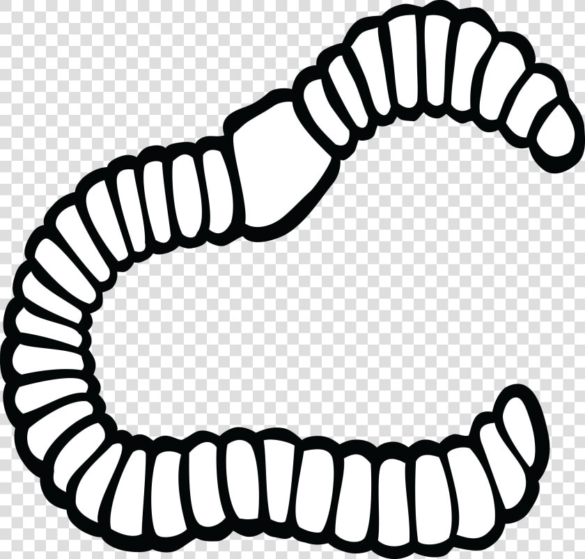 Earthworm Clip Art   Worm Black And White Clipart  HD Png DownloadTransparent PNG