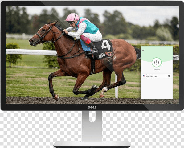 Watch Horse Racing Live On Any Device With Expressvpn   Enable Racehorse  HD Png DownloadTransparent PNG