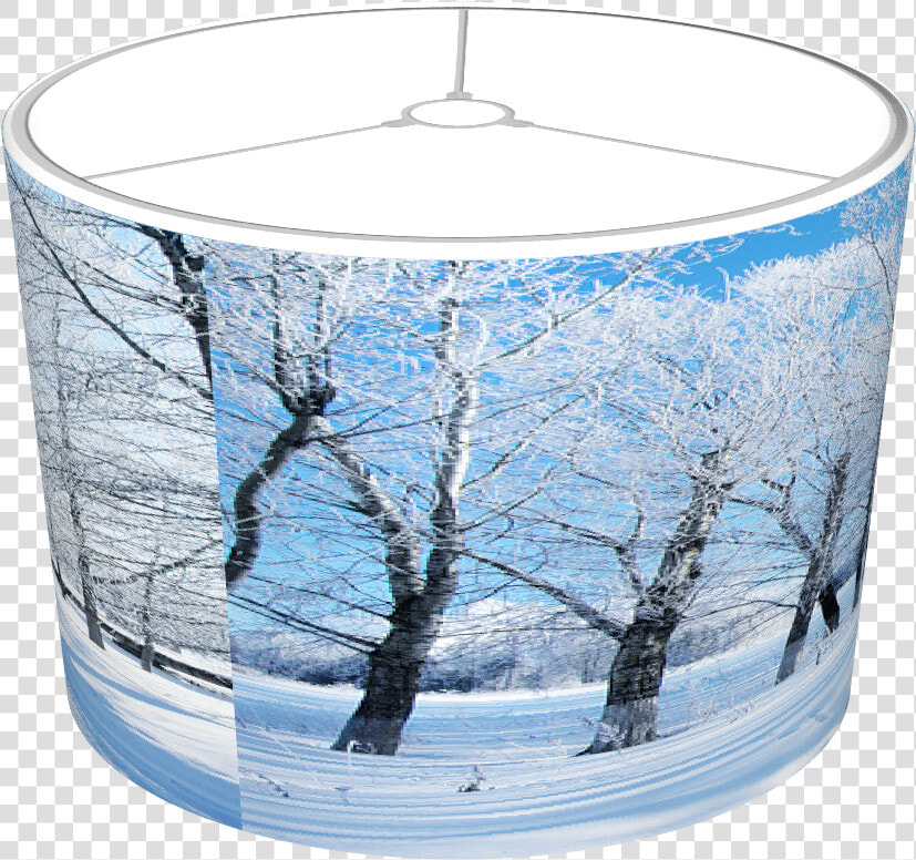 Winter Snows Scene   Birch  HD Png DownloadTransparent PNG