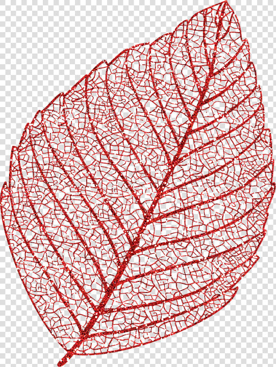 Skeleton Leaf  Autumn Leaf  Glitter Leaf  Skeleton   Circle  HD Png DownloadTransparent PNG