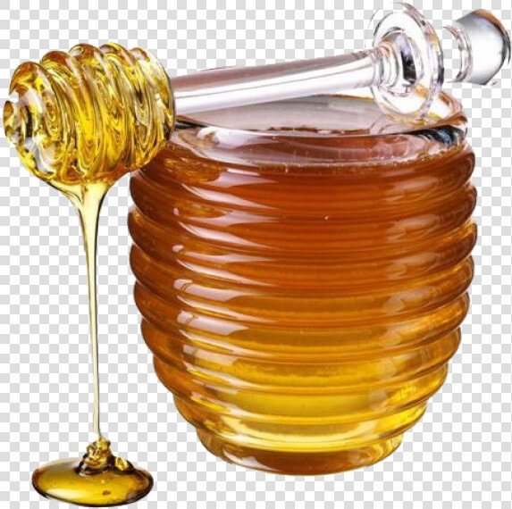 Honey Png Free Image Download   Transparent Background Honey Png  Png DownloadTransparent PNG