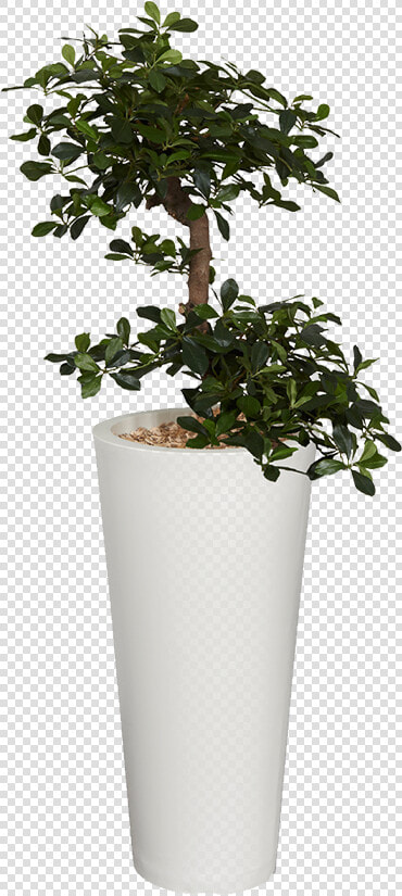 Flowerpot  HD Png DownloadTransparent PNG