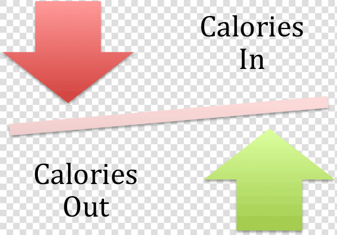 How Many Calories To Lose Weight   Open Source Pros And Cons  HD Png DownloadTransparent PNG