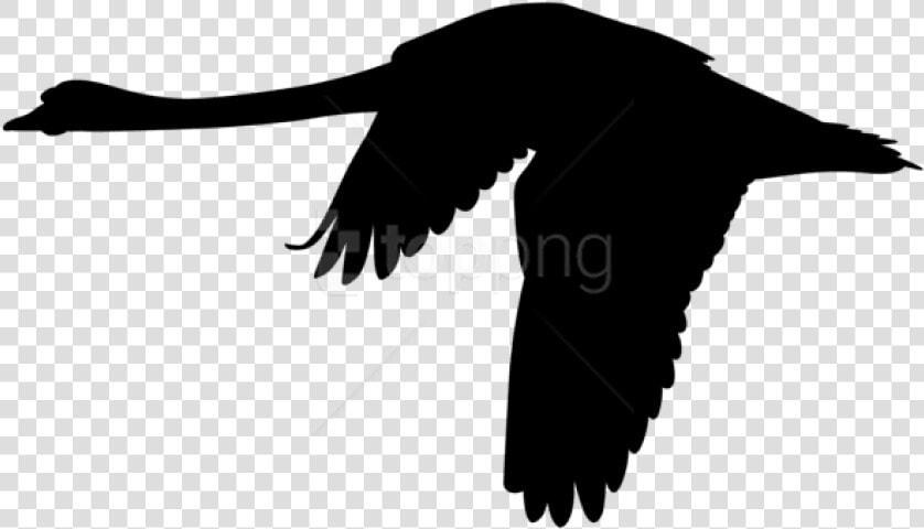 Free Png Flying Swan Silhouette Png Png   Flying Swan Clip Art  Transparent PngTransparent PNG