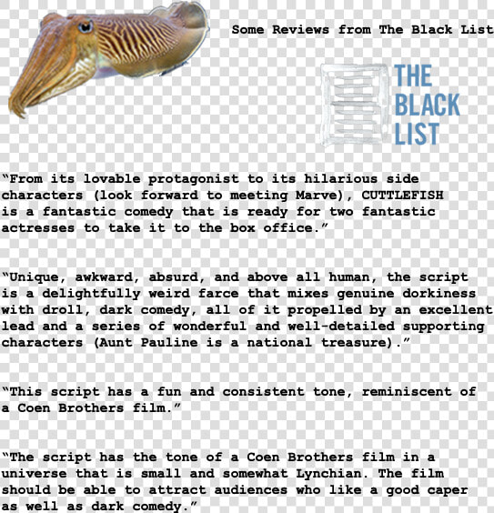 Cuttlefish Quotes Page Vertical Transparent   Fish Products  HD Png DownloadTransparent PNG