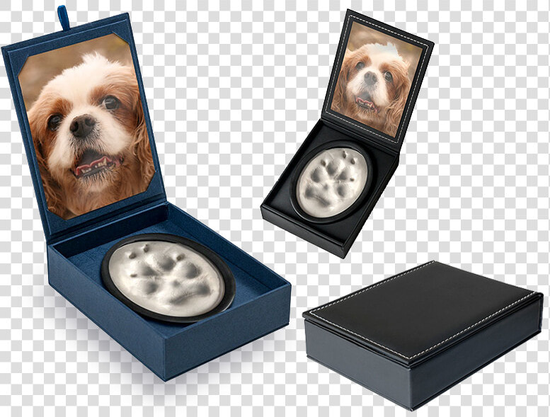 A Permanent Reminder Of Your Pet S Paw print   Your Pet  39 s Paw Print  HD Png DownloadTransparent PNG